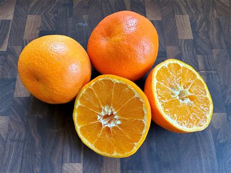 organic jaffa oranges — fairview orchards