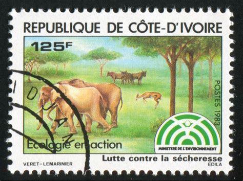 24 Interesting Facts About Ivory Coast Côte Divoire The Facts