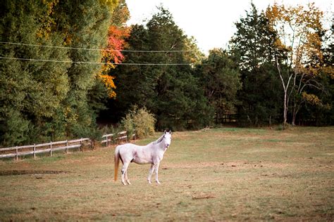 Outdoor Boudoir Shoot On Horse Farm Goochland Virginia Jandd Photo Llc