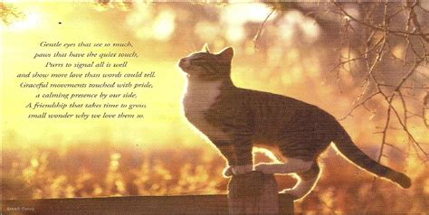 Funny cat Poems