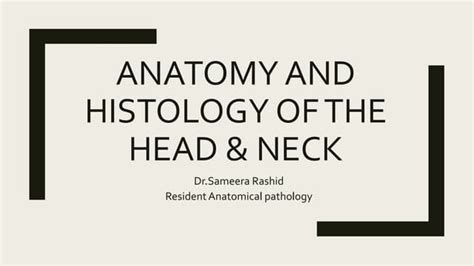 Anatomy And Histology Of Head And Neck Ppt