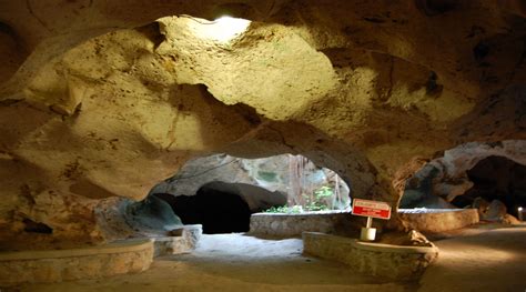 Green Grotto Underground Caves Errol Flynn Tours Jamaica