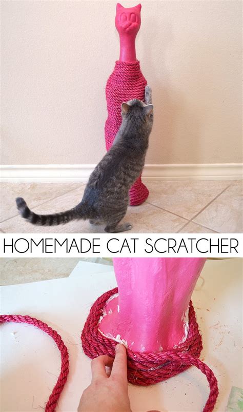 Homemade Cat Scratcher Dream A Little Bigger