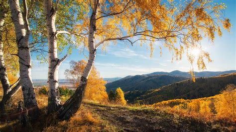Herbst Berge Bäume Sonne Schöne Naturlandschaft 1920x1080 Full Hd