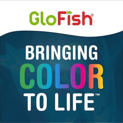 Glofish Special Flake Food Glofish