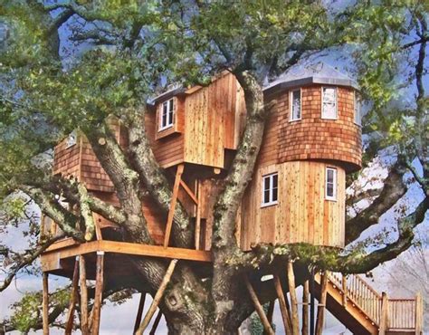 20 Of The Most Luxurious Tree Houses Youll Ever See
