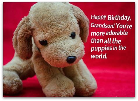 Happy birthday wishes funny grumpy can. Grandson Birthday Wishes: Birthday Messages for Grandsons