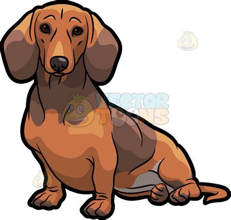 Weiner Dog On Back Clipart 10 Free Cliparts Download Images On
