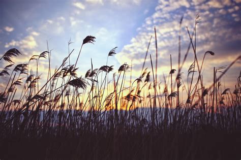 Free Images Nature Horizon Cloud Sky Sunrise Sunset Field