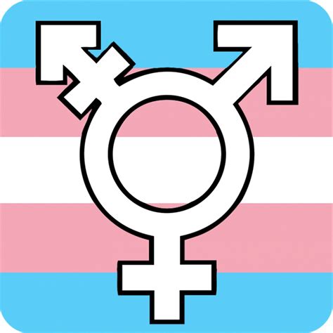 transgender symbol pride rainbow lgbtq fridge magnet fantastic etsy uk