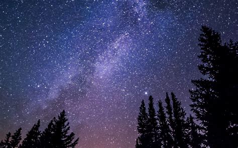 Starry Night Sky Waitomo New Zealand Cave 3840x2400 Download Hd