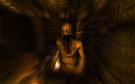 A game about immersion, discovery and living through a nightmare. Review: Amnesia: The Dark Descent Review - This Is My ...