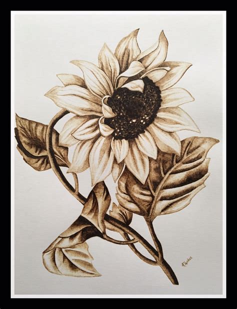 Pyrography On Paper Sunflower Art Burnedwoodstenciling Pyrography On