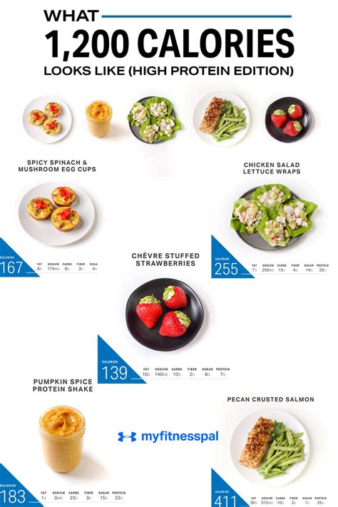 What 1200 Calories Looks Like Protein Edition Nutrition