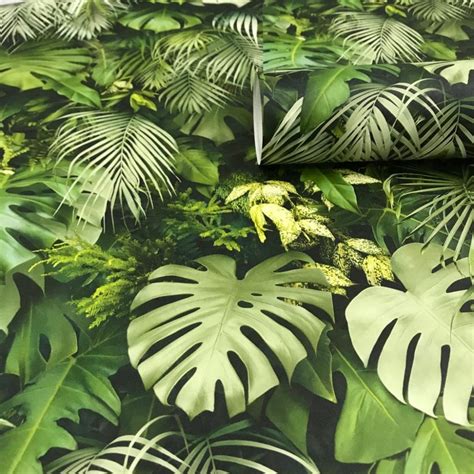 As Creation 3d Effect Tropical Tree Palm Leaf Wallpaper