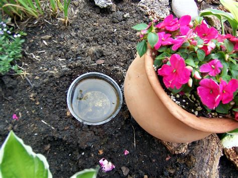 Backyard Garden Hidden Reservoir For Pots In The Garden