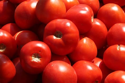 Bushels are often used in food processing, distribution and retail, as these industries handle large quantities of produce on a regular basis. Bushel of Tomatoes | rarefruitfan | Flickr