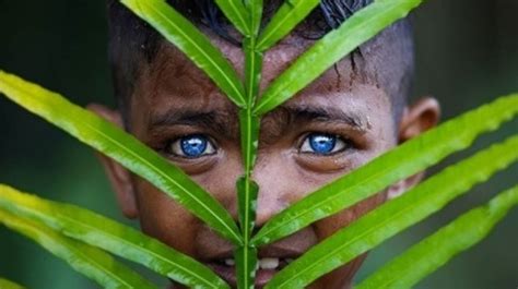 Langka Potret Suku Bermata Biru Di Indonesia Menarik Perhatian Dunia
