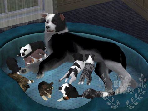 K Litter Puppies And Others By Spiritythedragon On Deviantart Sims 4