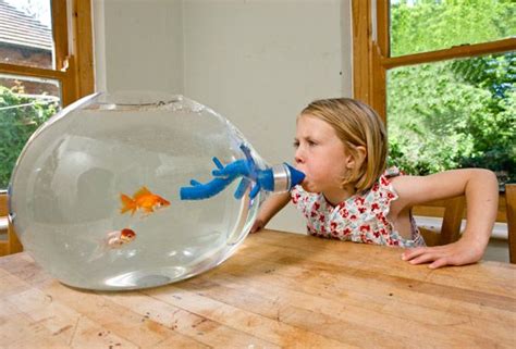 27 Geekiest And Weirdest Fish Tanksseriously Worth Looking At