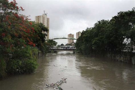 Rios Transbordam Em São Gonçalo Por Causa Das Chuvas O São Gonçalo
