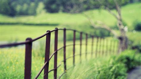 Wallpaper Sunlight Nature Field Green Morning Farm Summer