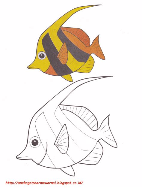 Gambar Mewarnai Ikan Bendera Untuk Anak Paud Dan Tk Fish Coloring Page