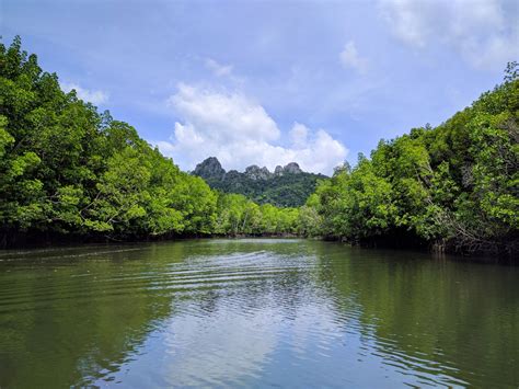 ‹ › the name kilim karst geoforest park hides so much more than its name suggests. Langkawi's Kilim Geoforest Park tour with Dev's Adventure