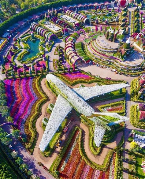 Aerial Shot Of The Dubai Miracle Garden Home To Over 50 Million Flowers