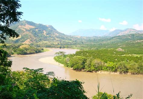 Río Cauca Recorrido Afluentes Características Flora