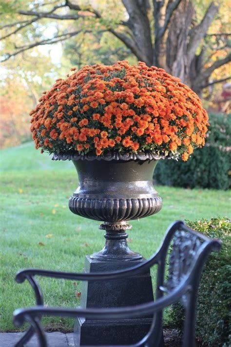 Put Them In An Urn Outside Garden Containers Container Gardening Fall