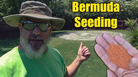 Planting Bermuda Grass Seed Youtube