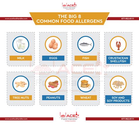 The Big 8 Common Food Allergens For Food Handling Ace Food Handler