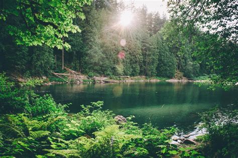 Lake Surrounded By Trees During Daytime Hd Wallpaper Wallpaper Flare