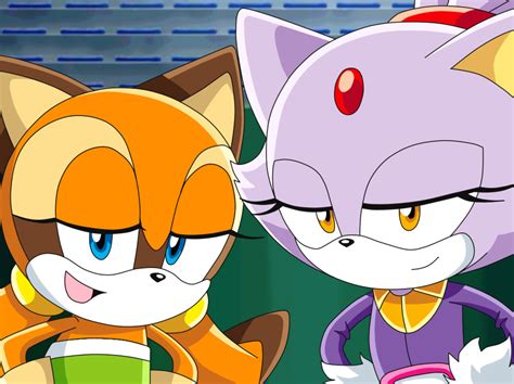 Sonic X Y Firestar In 2021 Sonic Fan Art Sonic And Shadow Hedgehog Art