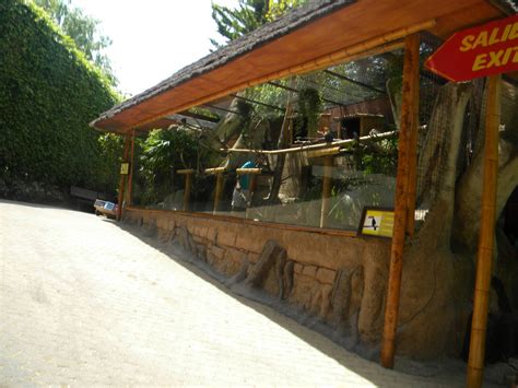 Toco Toucan Enclosure At Mundo Mar 010811 Zoochat
