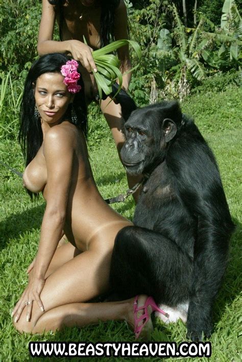 Girl Fucked By A Real Monkey Sex Photo