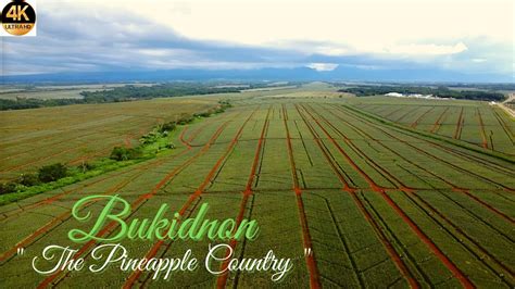 Del Monte Pineapple Plantation Bukidnon Province Bukidnon Youtube