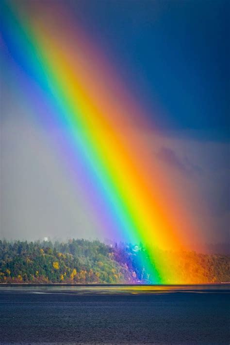 Rainbow ~ Stunning Nature