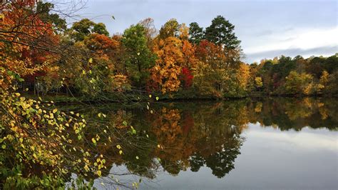 Fall Colors Down By The Lake