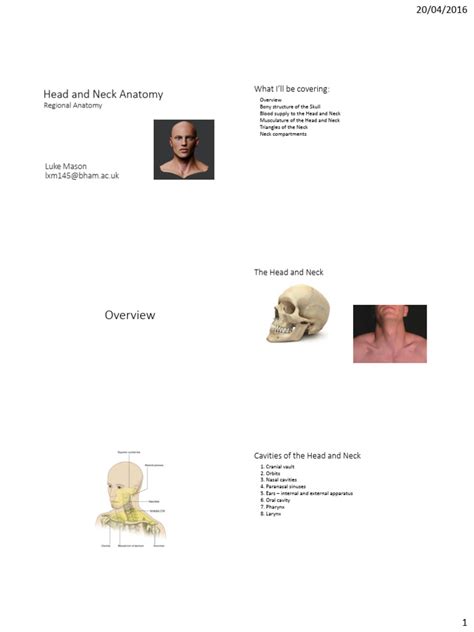 105 Head And Neck Anatomy Session Pdf Skull Neck