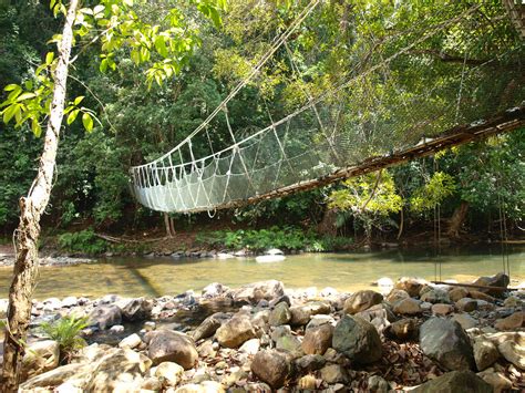 Taman negara (national park) is one of the most popular attractions in malaysia. Nature Adventure: About us!!