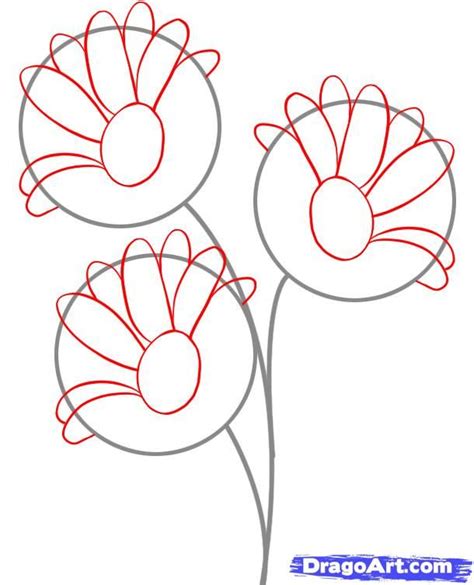 How To Draw Daisies Step By Step Daisy Drawing Flower Drawing