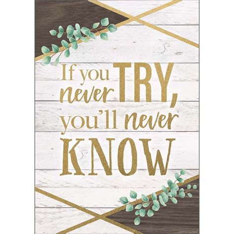 if you never try you ll never know positive poster tcr7979 teacher created resources
