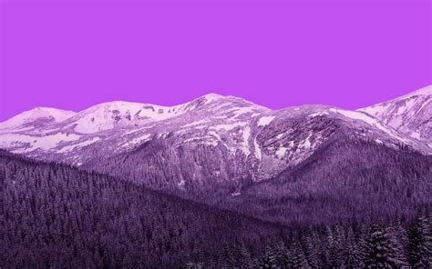 Wallpaper Forest Nature Snow Mountains Purple Hills Landscape