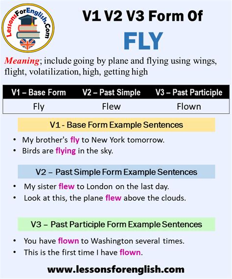Past Tense Of Fly Past Participle Form Of Fly V1 V2 V3 Lessons For