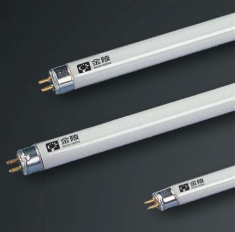 T5 Linear Fluorescent Lamp 8w From China Manufacturer Zhongshan