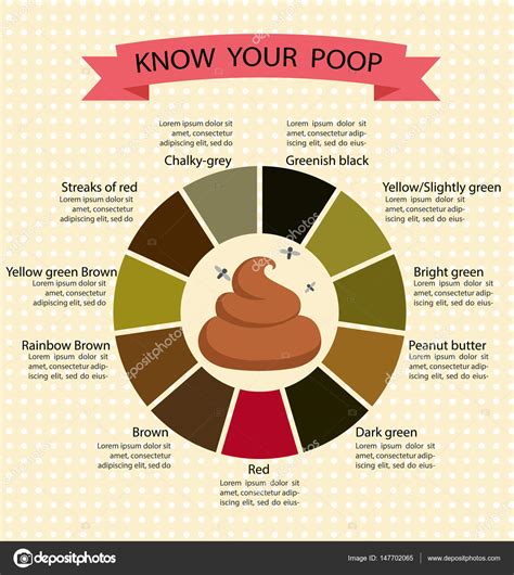 Yellow Poop Color Chart Types Of Poop What Doctors Need You To Know