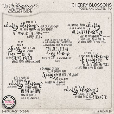 Cherry Blossoms Poems And Quotes