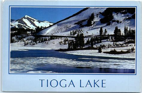 Postcard Tioga Lake Tioga Road Route California Usa Ebay